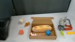 Subgoal 9