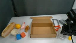 Subgoal 1