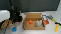 Subgoal 6