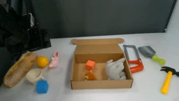 Subgoal 7