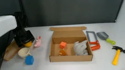 Subgoal 9