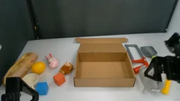 Subgoal 1