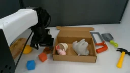 Subgoal 9